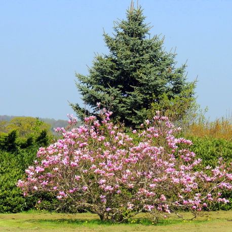 Landschaft bei Ascheberg Physio Schmidt