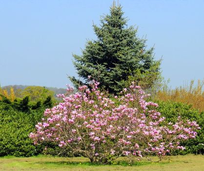Landschaft bei Ascheberg Physio Schmidt